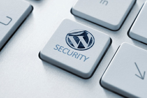 seguridad en wordpress